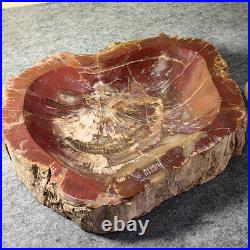 12.68lb Natural Petrified Wood Fossil Large Ashtray Healing! G190 12.68lb Natural Petrified Wood Fossil Large Ashtray Healing! G190