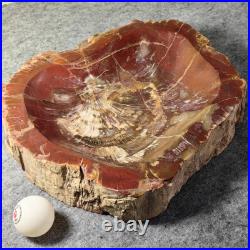 12.68lb Natural Petrified Wood Fossil Large Ashtray Healing! G190 12.68lb Natural Petrified Wood Fossil Large Ashtray Healing! G190