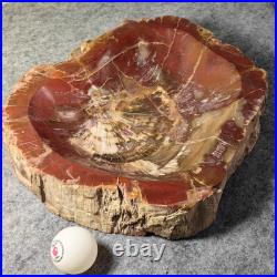 12.68lb Natural Petrified Wood Fossil Large Ashtray Healing! G190 12.68lb Natural Petrified Wood Fossil Large Ashtray Healing! G190