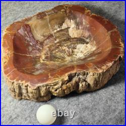 12.68lb Natural Petrified Wood Fossil Large Ashtray Healing! G190 12.68lb Natural Petrified Wood Fossil Large Ashtray Healing! G190