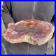 12_6lb_Rare_Natural_petrified_wood_rough_Wood_fossil_mineral_specimen_healing_01_jr