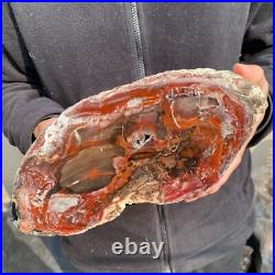 12.6lb Rare Natural petrified wood rough Wood fossil mineral specimen healing 12.6lb Rare Natural petrified wood rough Wood fossil mineral specimen healing