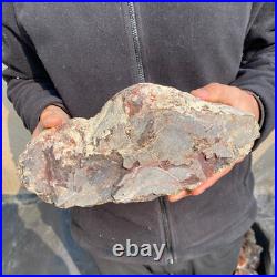 12.6lb Rare Natural petrified wood rough Wood fossil mineral specimen healing 12.6lb Rare Natural petrified wood rough Wood fossil mineral specimen healing