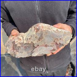 12.6lb Rare Natural petrified wood rough Wood fossil mineral specimen healing 12.6lb Rare Natural petrified wood rough Wood fossil mineral specimen healing