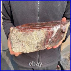 12.6lb Rare Natural petrified wood rough Wood fossil mineral specimen healing 12.6lb Rare Natural petrified wood rough Wood fossil mineral specimen healing
