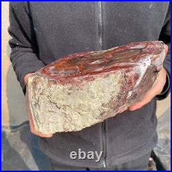 12.6lb Rare Natural petrified wood rough Wood fossil mineral specimen healing 12.6lb Rare Natural petrified wood rough Wood fossil mineral specimen healing