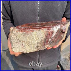 12.6lb Rare Natural petrified wood rough Wood fossil mineral specimen healing