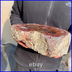 12.6lb Rare Natural petrified wood rough Wood fossil mineral specimen healing 12.6lb Rare Natural petrified wood rough Wood fossil mineral specimen healing