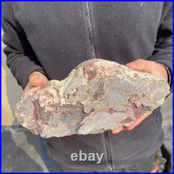 12.6lb Rare Natural petrified wood rough Wood fossil mineral specimen healing 12.6lb Rare Natural petrified wood rough Wood fossil mineral specimen healing
