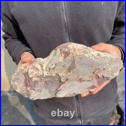 12.6lb Rare Natural petrified wood rough Wood fossil mineral specimen healing 12.6lb Rare Natural petrified wood rough Wood fossil mineral specimen healing