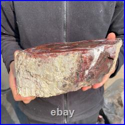 12.6lb Rare Natural petrified wood rough Wood fossil mineral specimen healing 12.6lb Rare Natural petrified wood rough Wood fossil mineral specimen healing