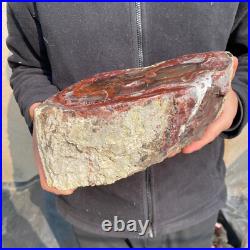 12.6lb Rare Natural petrified wood rough Wood fossil mineral specimen healing
