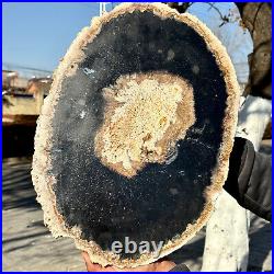 12.7LB Large Natural Petrified Wood Crystal Fossil Slice Shape Specimen Healing 12.7LB Large Natural Petrified Wood Crystal Fossil Slice Shape Specimen Healing
