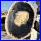 12_7LB_Large_Natural_Petrified_Wood_Crystal_Fossil_Slice_Shape_Specimen_Healing_01_wshi