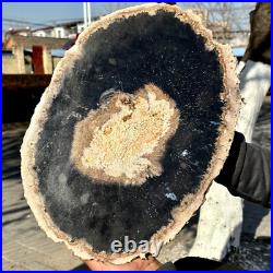 12.7LB Large Natural Petrified Wood Crystal Fossil Slice Shape Specimen Healing 12.7LB Large Natural Petrified Wood Crystal Fossil Slice Shape Specimen Healing