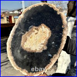 12.7LB Large Natural Petrified Wood Crystal Fossil Slice Shape Specimen Healing 12.7LB Large Natural Petrified Wood Crystal Fossil Slice Shape Specimen Healing