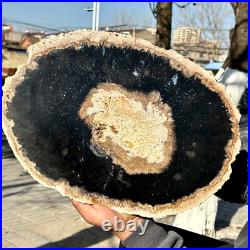 12.7LB Large Natural Petrified Wood Crystal Fossil Slice Shape Specimen Healing 12.7LB Large Natural Petrified Wood Crystal Fossil Slice Shape Specimen Healing
