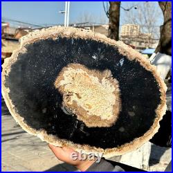 12.7LB Large Natural Petrified Wood Crystal Fossil Slice Shape Specimen Healing 12.7LB Large Natural Petrified Wood Crystal Fossil Slice Shape Specimen Healing