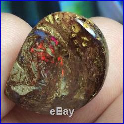 12.85ct Boulder Opal Petrified WOOD/VEGETATION Fossil FIERY Gem Flashes Video