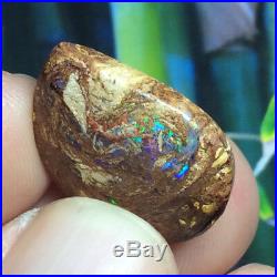 12.85ct Boulder Opal Petrified WOOD/VEGETATION Fossil FIERY Gem Flashes Video