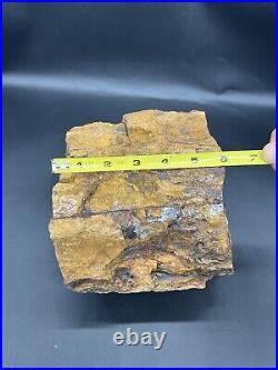 12.8 Lbs Rainbow Arizona Petrified Wood Log Fossil Rare Colors Specimen Uncut