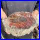 12_9lb_Rare_Natural_petrified_wood_rough_Wood_fossil_mineral_specimen_healing_01_ik