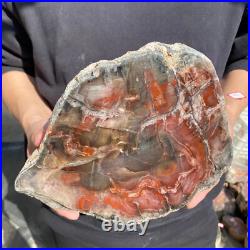 12.9lb Rare Natural petrified wood rough Wood fossil mineral specimen healing 12.9lb Rare Natural petrified wood rough Wood fossil mineral specimen healing
