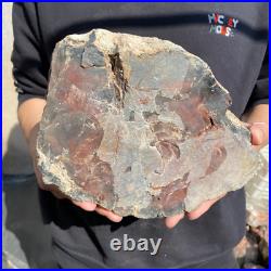 12.9lb Rare Natural petrified wood rough Wood fossil mineral specimen healing 12.9lb Rare Natural petrified wood rough Wood fossil mineral specimen healing