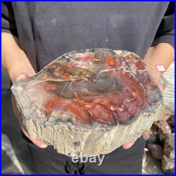 12.9lb Rare Natural petrified wood rough Wood fossil mineral specimen healing 12.9lb Rare Natural petrified wood rough Wood fossil mineral specimen healing