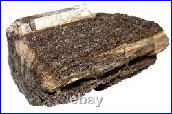 12 Pound 2.8 Oz Rare Nevada Quartz Crystal Petrified Fossil Wood Specimen PWS2