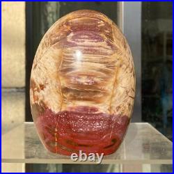 1300g Natural Fossil Petrified Wood Polished Freeform Crystal Mineral Healing 1300g Natural Fossil Petrified Wood Polished Freeform Crystal Mineral Healing