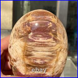 1300g Natural Fossil Petrified Wood Polished Freeform Crystal Mineral Healing 1300g Natural Fossil Petrified Wood Polished Freeform Crystal Mineral Healing