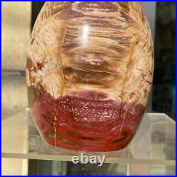 1300g Natural Fossil Petrified Wood Polished Freeform Crystal Mineral Healing 1300g Natural Fossil Petrified Wood Polished Freeform Crystal Mineral Healing