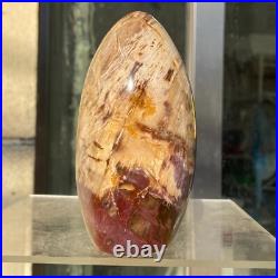 1300g Natural Fossil Petrified Wood Polished Freeform Crystal Mineral Healing 1300g Natural Fossil Petrified Wood Polished Freeform Crystal Mineral Healing