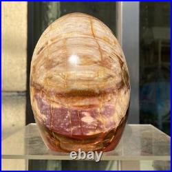 1300g Natural Fossil Petrified Wood Polished Freeform Crystal Mineral Healing 1300g Natural Fossil Petrified Wood Polished Freeform Crystal Mineral Healing