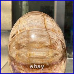 1300g Natural Fossil Petrified Wood Polished Freeform Crystal Mineral Healing 1300g Natural Fossil Petrified Wood Polished Freeform Crystal Mineral Healing