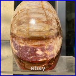 1300g Natural Fossil Petrified Wood Polished Freeform Crystal Mineral Healing 1300g Natural Fossil Petrified Wood Polished Freeform Crystal Mineral Healing