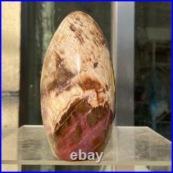 1300g Natural Fossil Petrified Wood Polished Freeform Crystal Mineral Healing 1300g Natural Fossil Petrified Wood Polished Freeform Crystal Mineral Healing