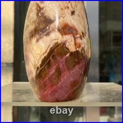 1300g Natural Fossil Petrified Wood Polished Freeform Crystal Mineral Healing 1300g Natural Fossil Petrified Wood Polished Freeform Crystal Mineral Healing