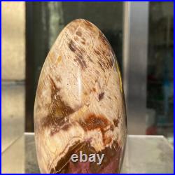 1300g Natural Fossil Petrified Wood Polished Freeform Crystal Mineral Healing 1300g Natural Fossil Petrified Wood Polished Freeform Crystal Mineral Healing