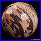 1304g98mm_Petrified_Wood_Jasper_Sphere_Crystal_Natural_Healing_Ball_Chakra_Decor_01_zd