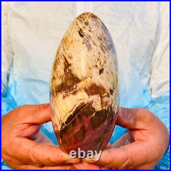 1310g Natural Red Petrified Wood Crystal Fossil Landscape Specimen Reiki Healing