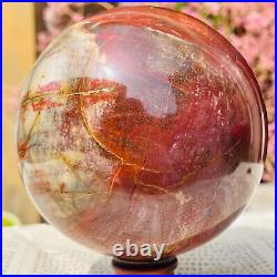 1318g Large Natural Petrified Wood Crystal Fossil Sphere Specimen Healing