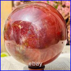 1318g Large Natural Petrified Wood Crystal Fossil Sphere Specimen Healing