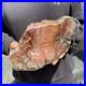 13LB_Natural_petrified_wood_rough_Wood_fossil_mineral_specimen_healing_energy_01_ne