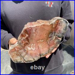 13LB Natural petrified wood rough Wood fossil mineral specimen healing energy