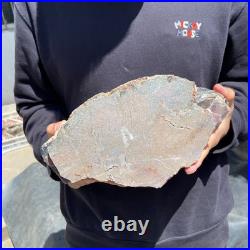 13LB Natural petrified wood rough Wood fossil mineral specimen healing energy