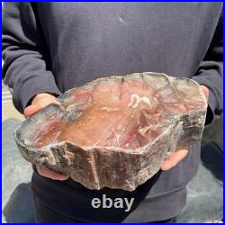 13LB Natural petrified wood rough Wood fossil mineral specimen healing energy
