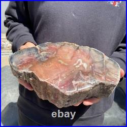 13LB Natural petrified wood rough Wood fossil mineral specimen healing energy