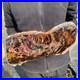 13_1LB_Natural_petrified_wood_rough_Wood_fossil_mineral_specimen_healing_energy_01_awn